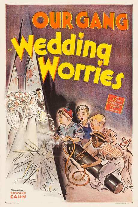 Wedding Worries